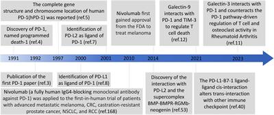 PD-1 immunology in the kidneys: a growing relationship